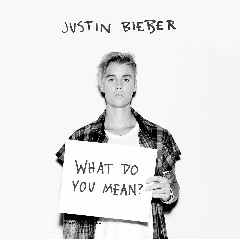 Justin Bieber - What Do You Mean Mp3