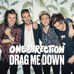 One Direction - Drag Me Down Mp3